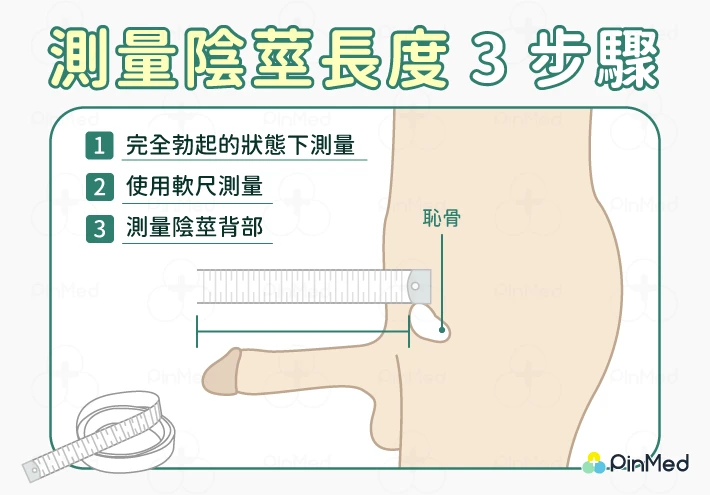 台湾男性尺寸揭秘！平均长度真相大公开 - 正确测量方法与改善建议